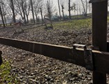 IMG_20201126_114444
